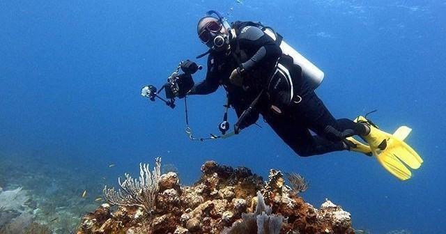 Open Water Diving Course in St Thomas