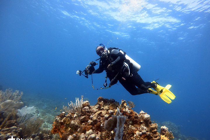 diving in st thomas