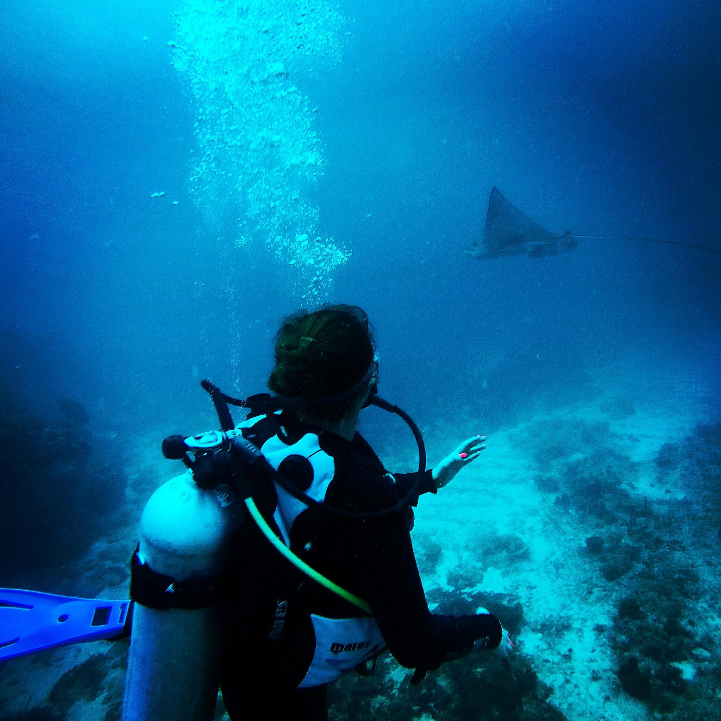 scuba diving review