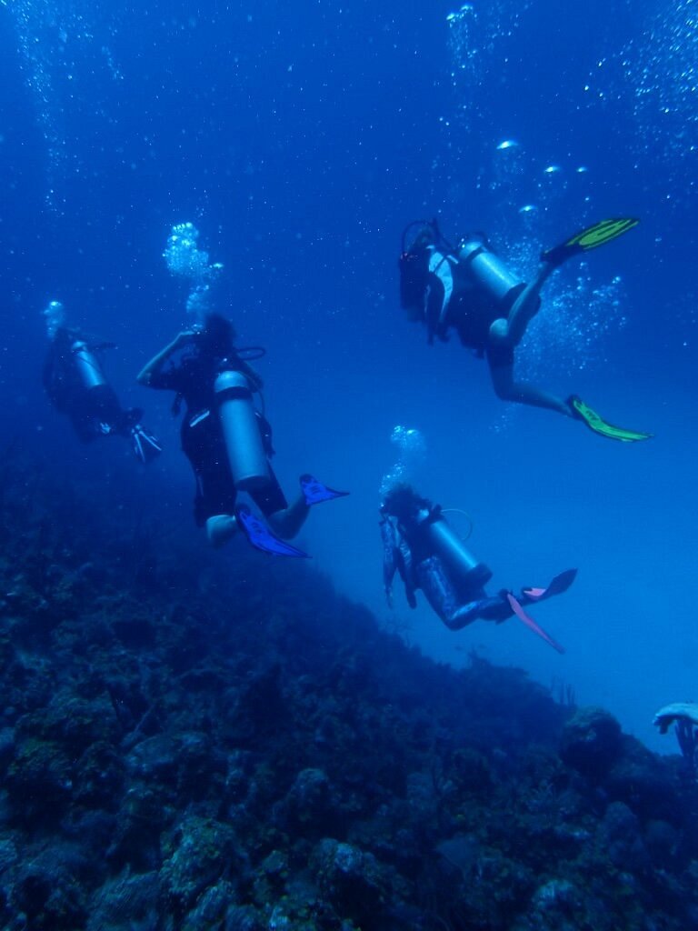 scuba diving in st thomas