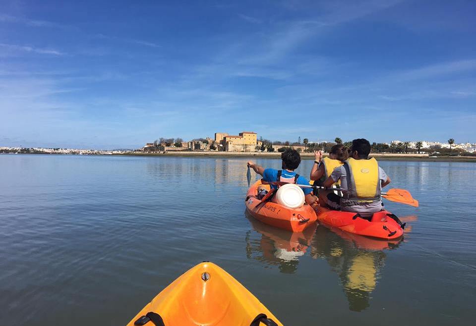 Cover for Half day kayaking in Ria Formosa