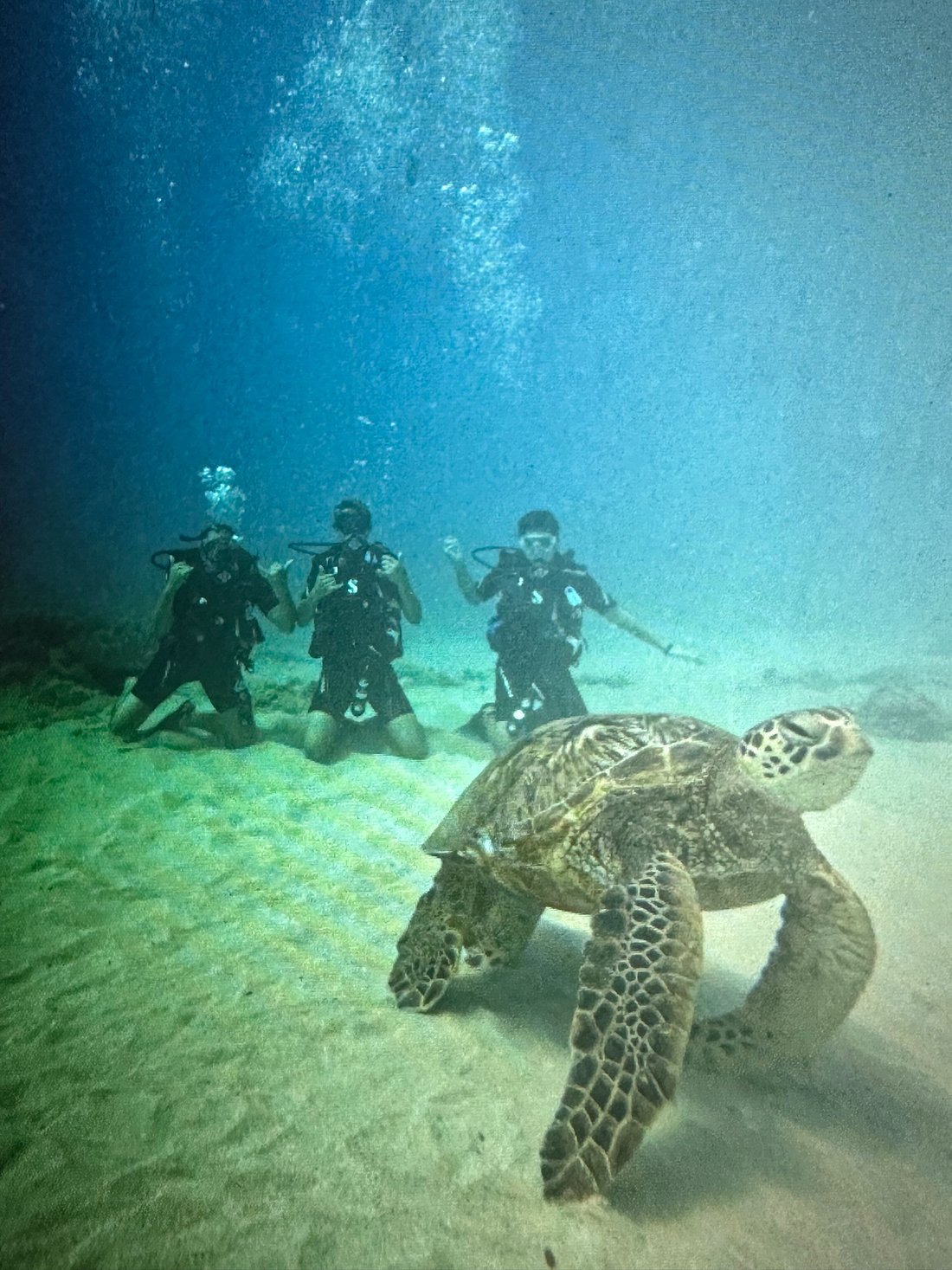 scuba diving group hawaii