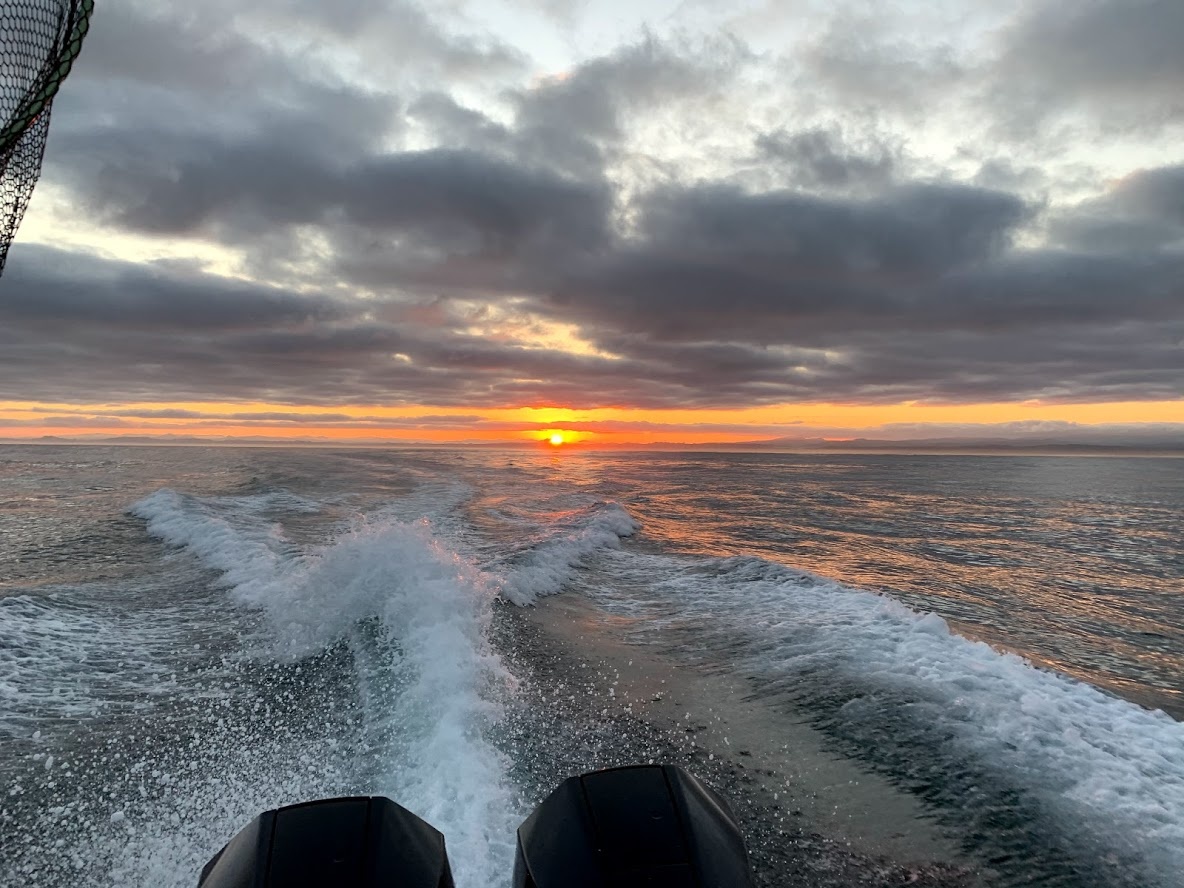 sunset fishing trip