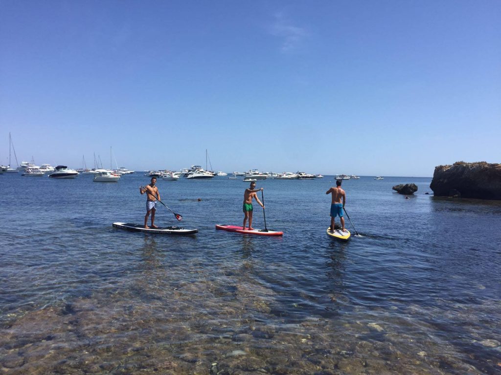 Cover for SUP and snorkeling in Isla de Tabarca