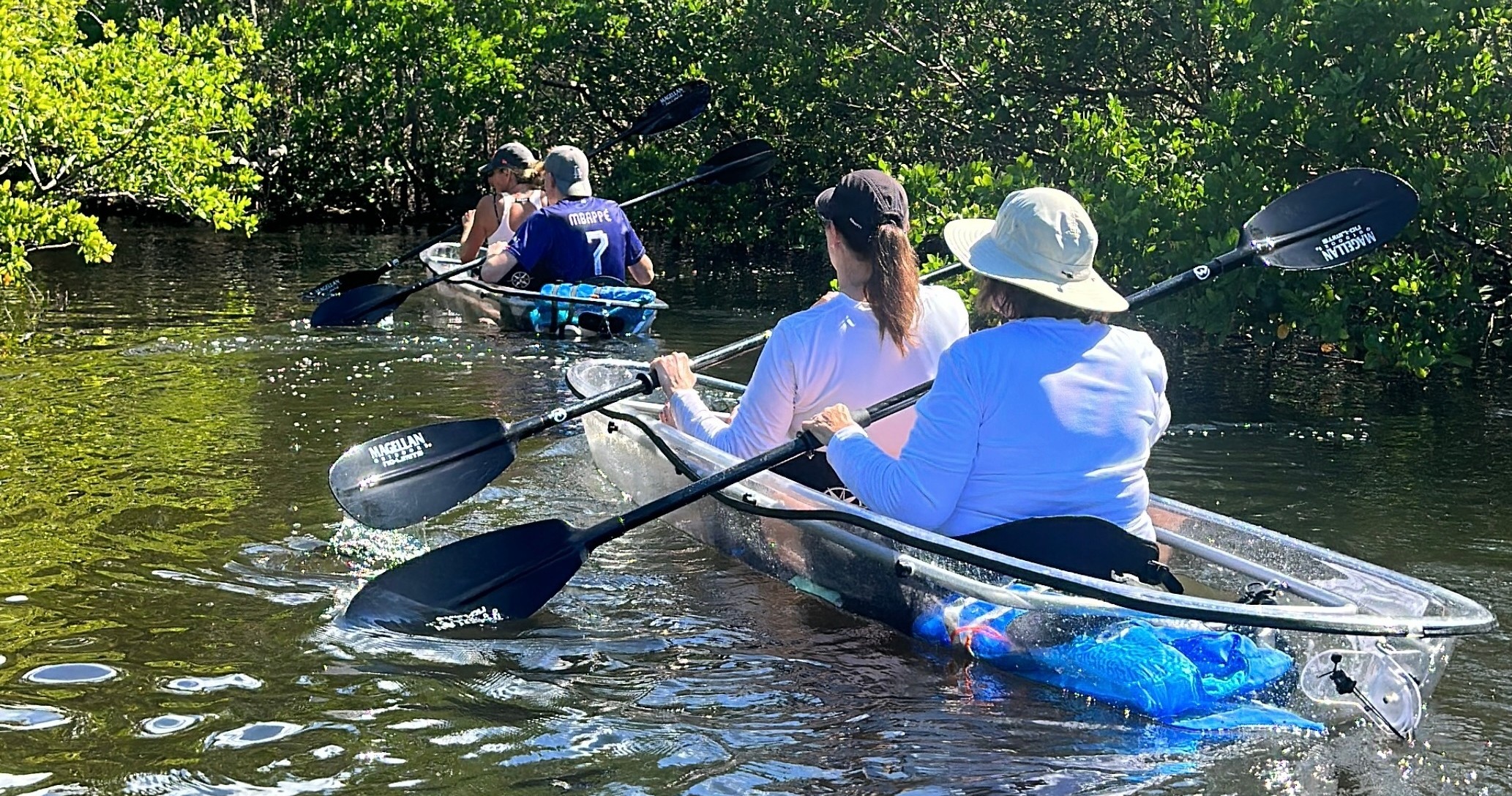 Clear Kayak Tour in Robinson Preserve