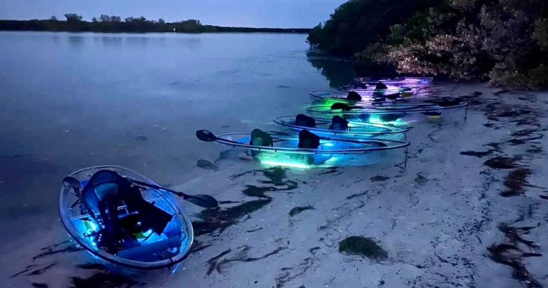 Glow Kayak Tour in Shell Key Preserve