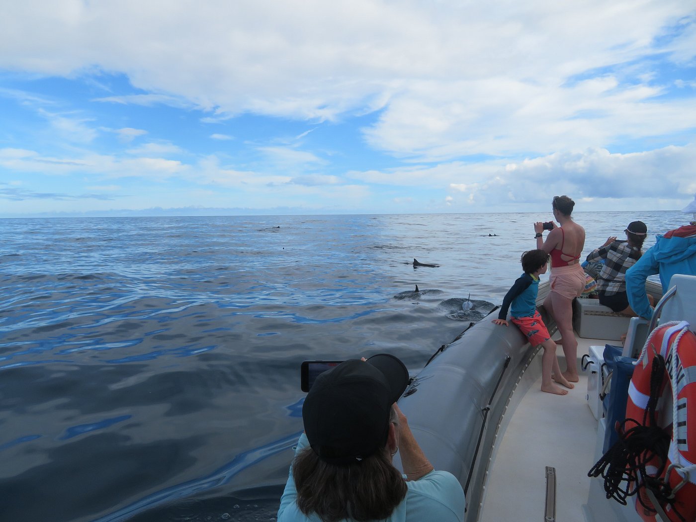 Boat tour with Dolphin Watching in Na Pali