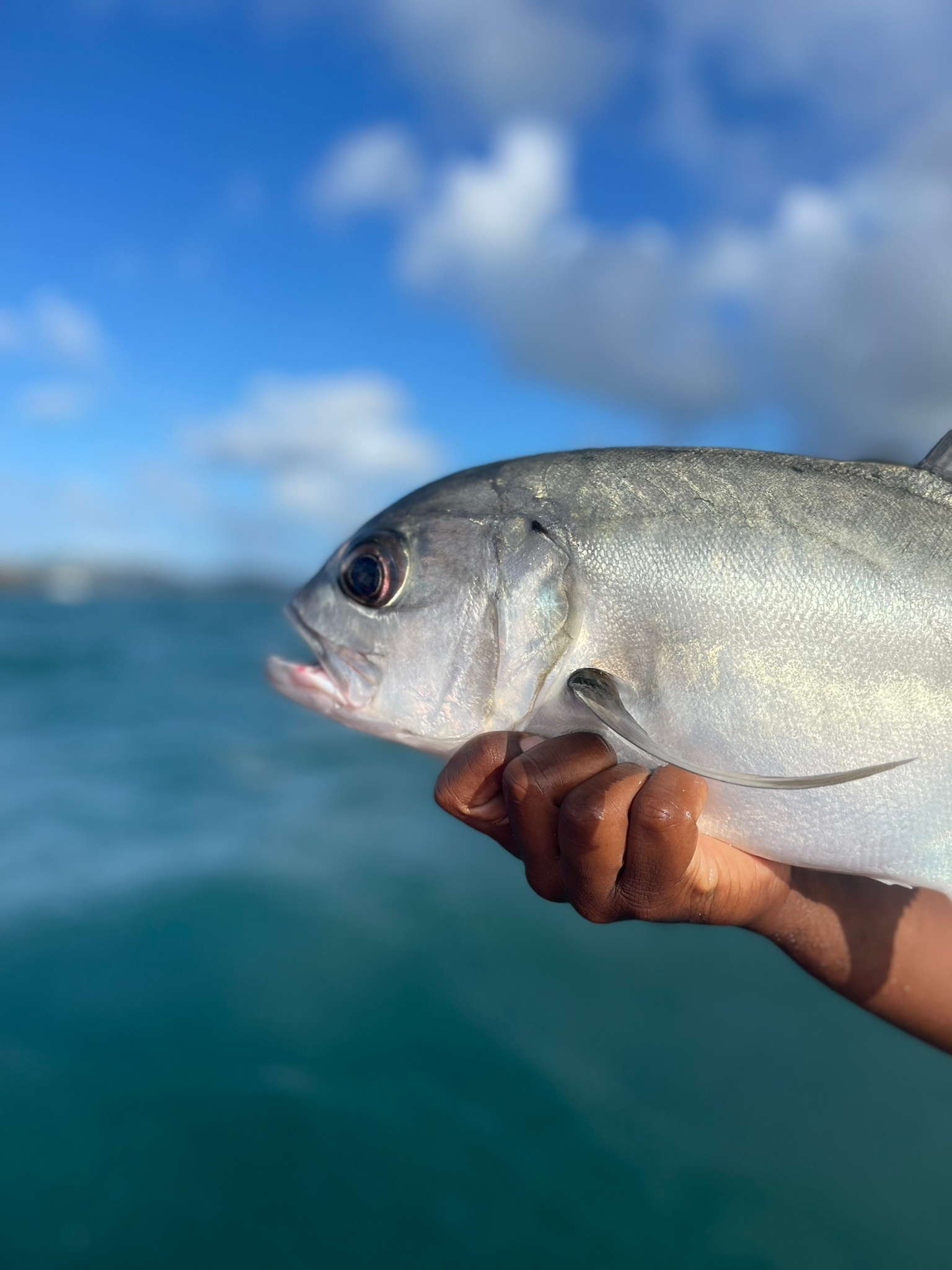 Fishing Tour in St. Lucia