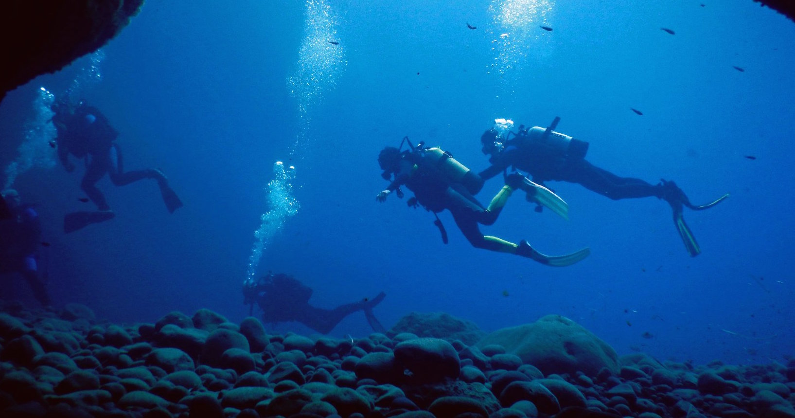 Cover for Scuba Diving in Santorini - 2 dives