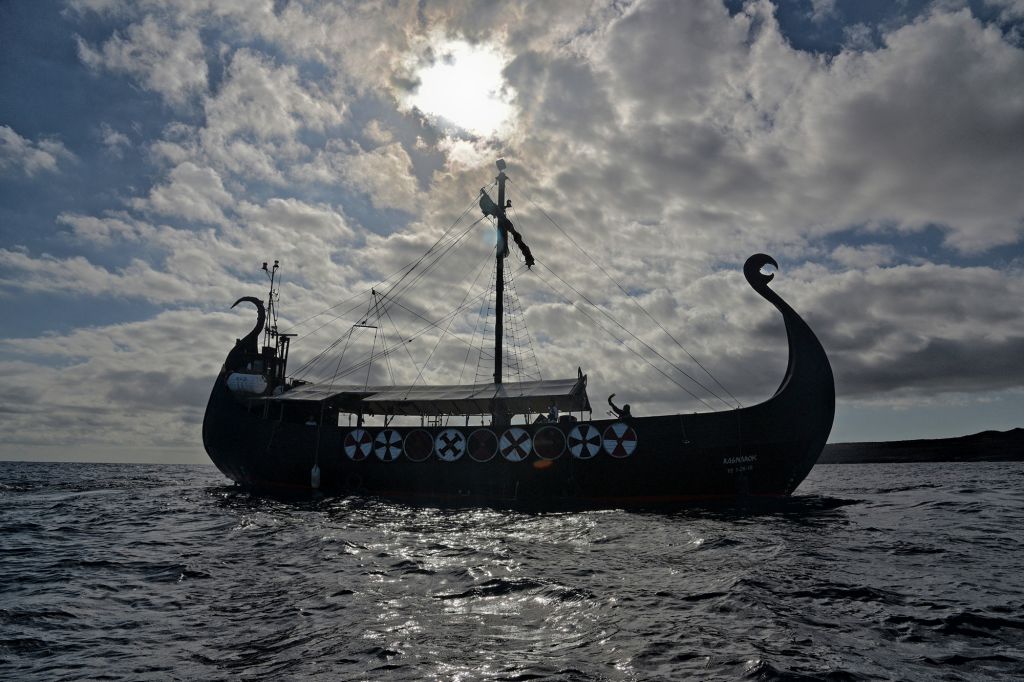 Whale and dolphin watching from a Viking ship in Tenerife