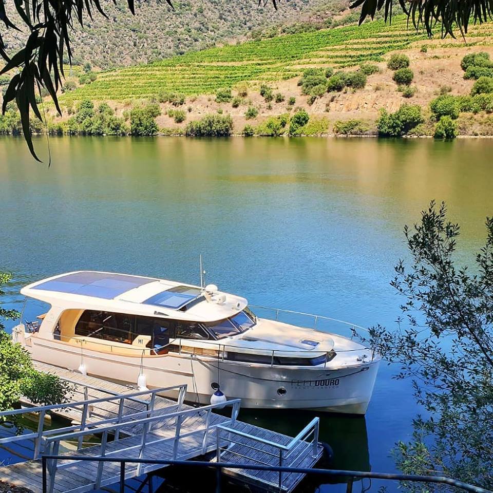 Private Cruise in the Douro Valley Cover