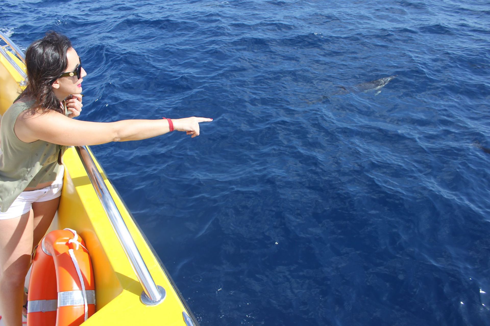 Cover for sunset cruise with dolphins in Lanzarote