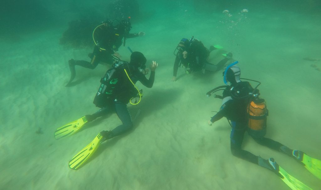 Diving in Sesimbra is done in small groups