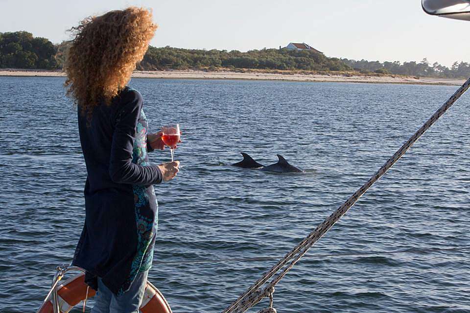 Dolphin watching from Tróia