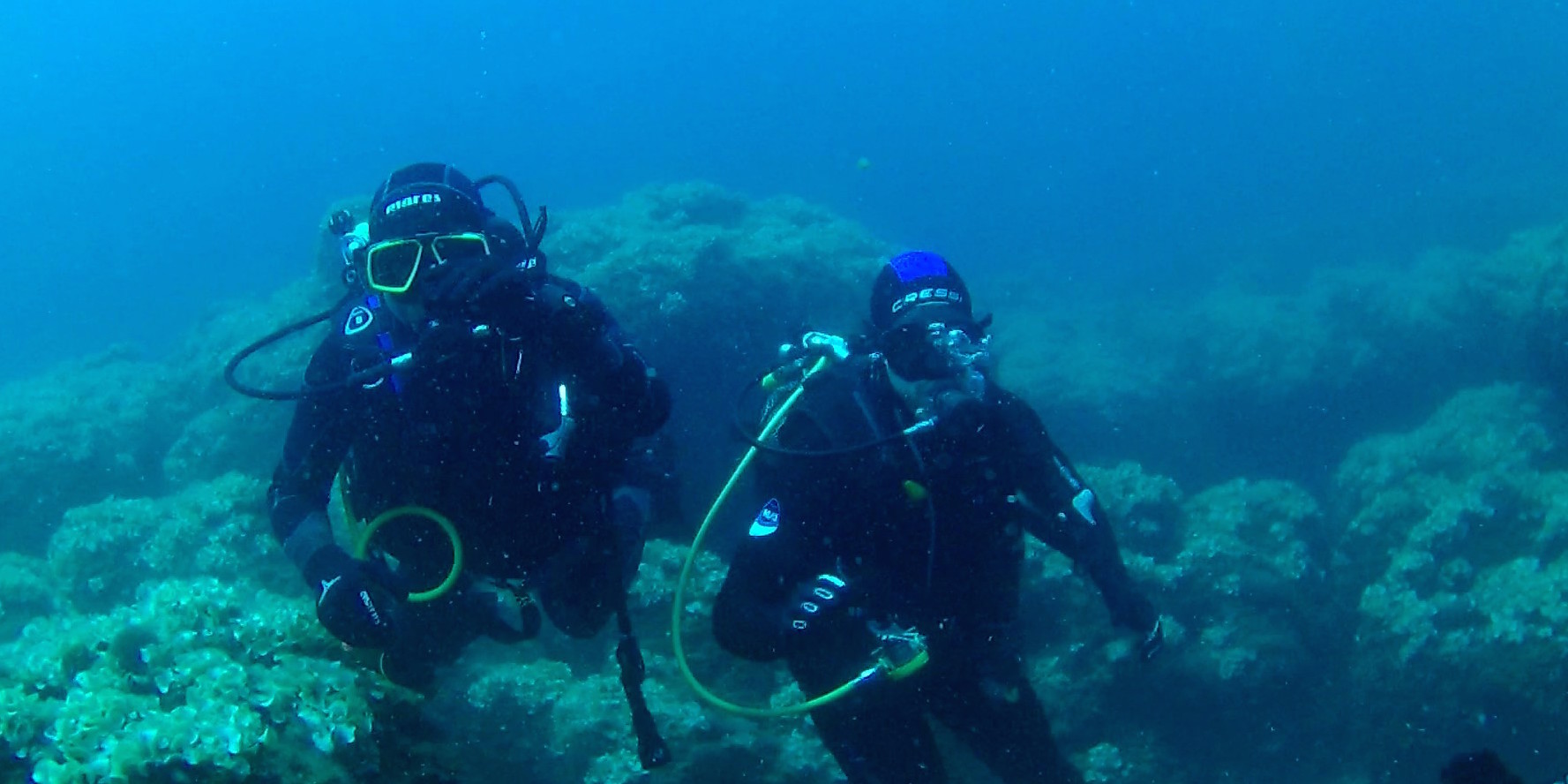 Join us for this fun scuba diving tour