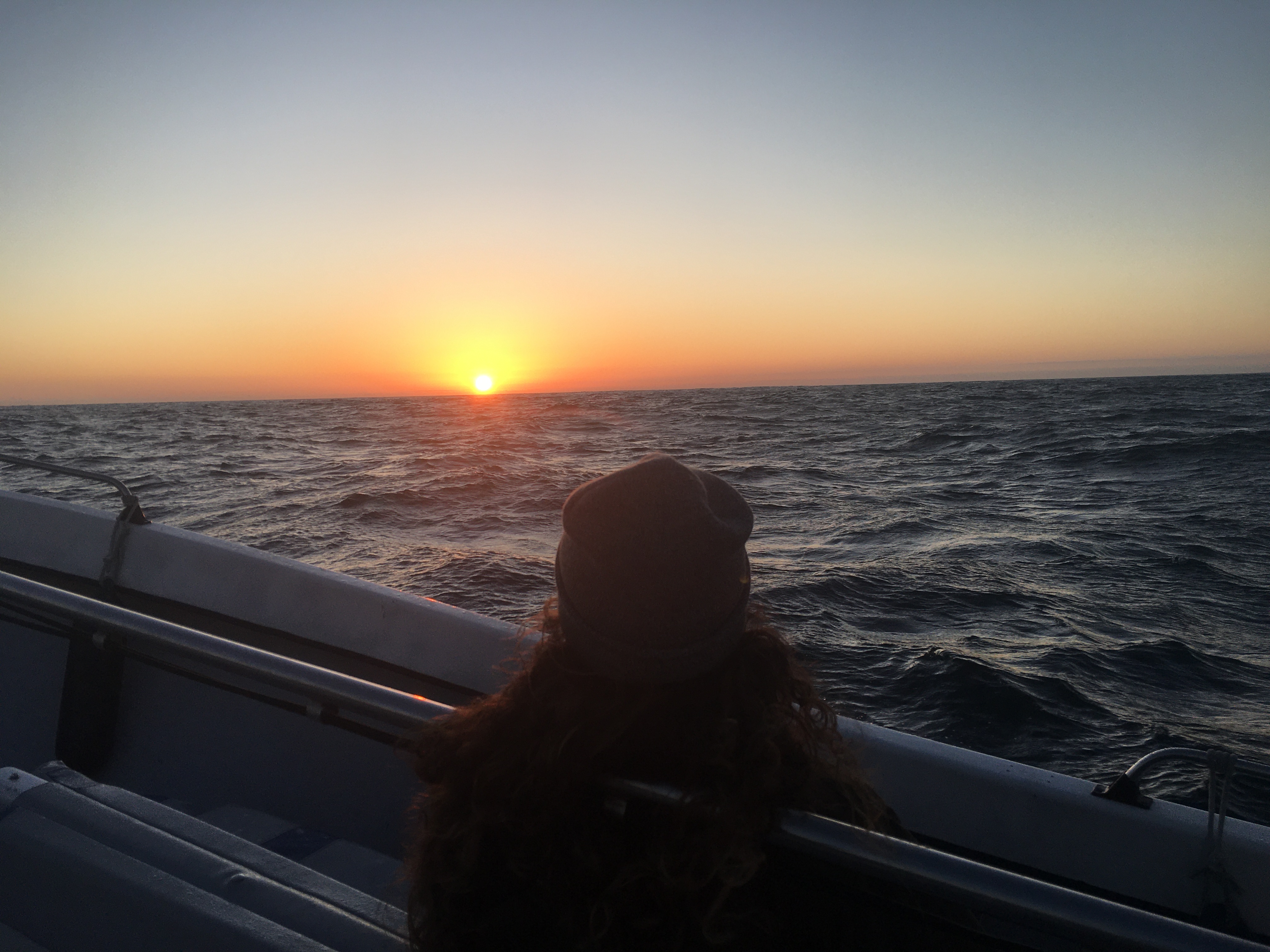 Sunset cruise in Sesimbra
