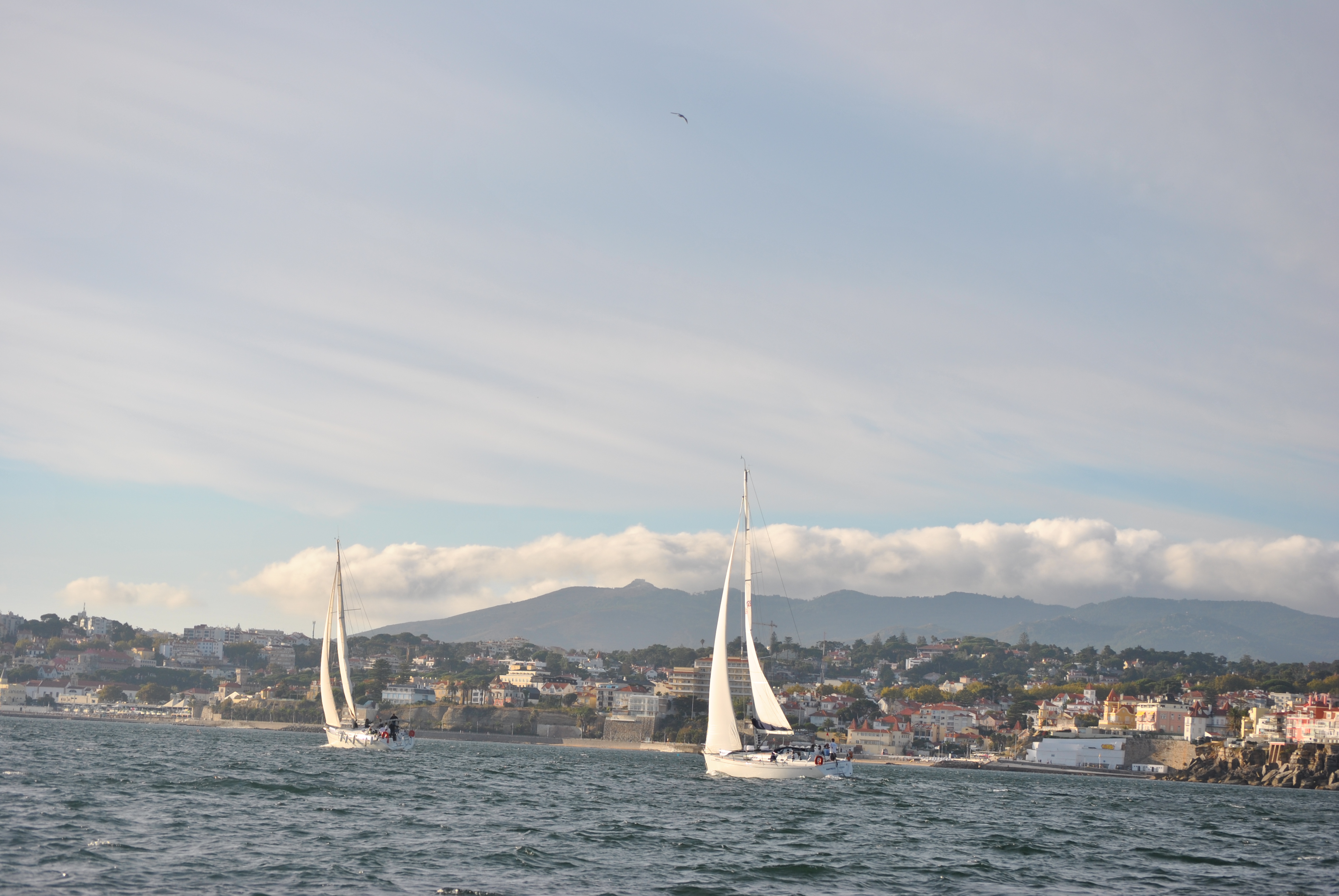 Private cruises in Cascais
