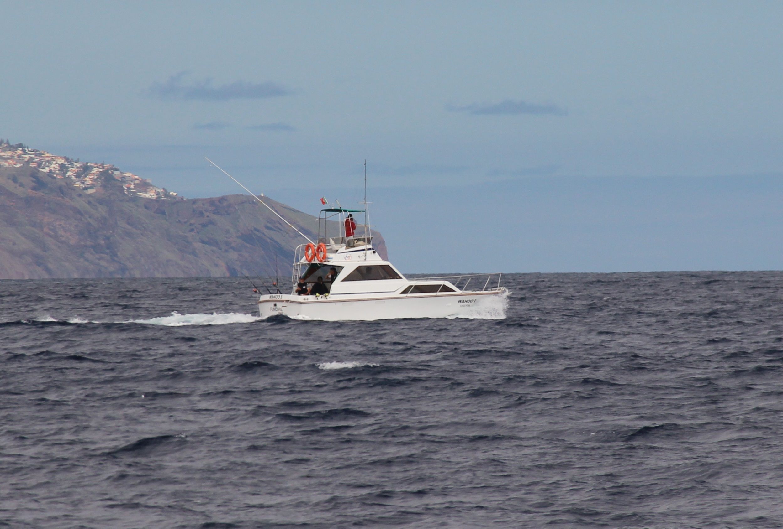 Madeira fishing charter for groups