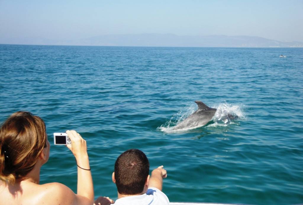 Dolphin watching tour in Ria Formosa