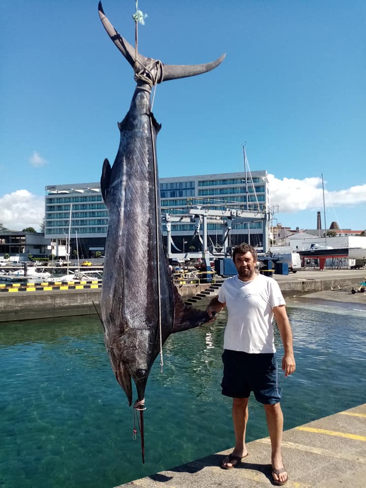 There are big fish in Azores
