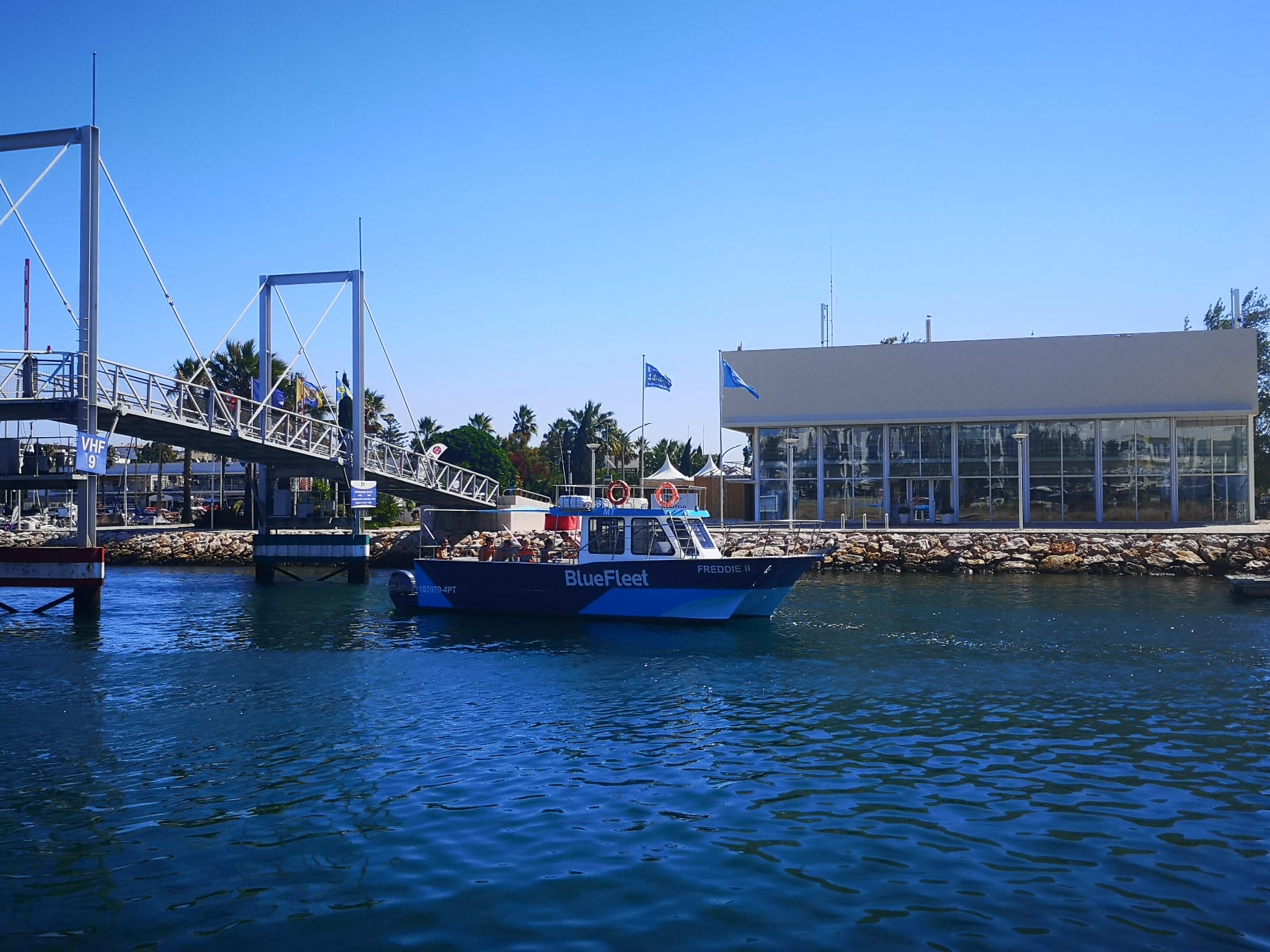 Blue feet boat tours Lagos