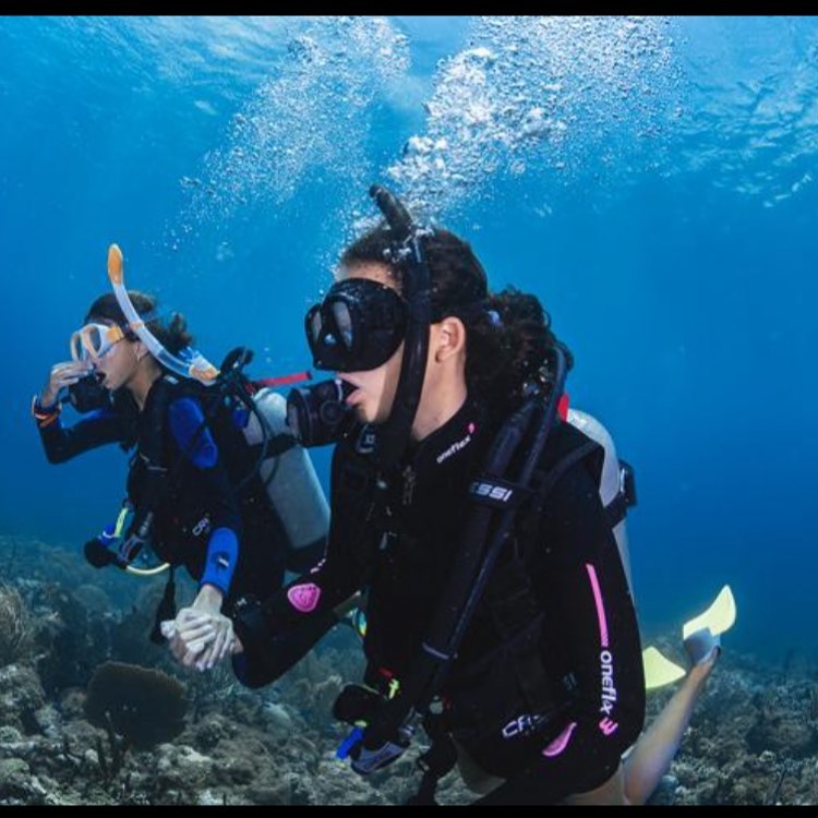 Diving in Barbados