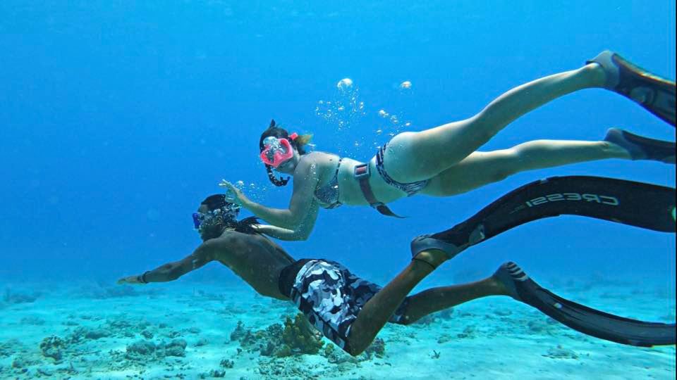 Snorkeling tour in Barbados