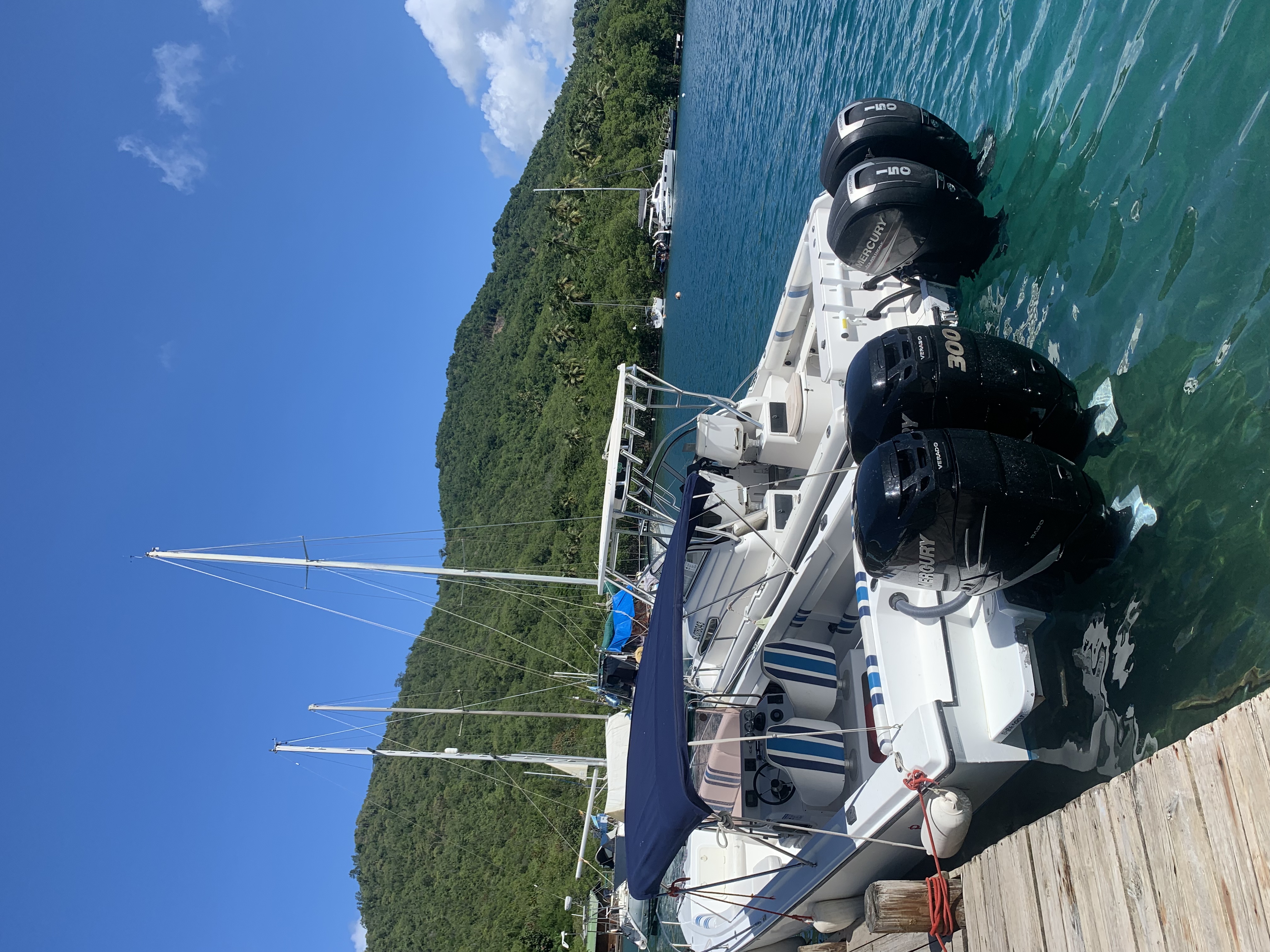 Private Speedboat Soufriere tour