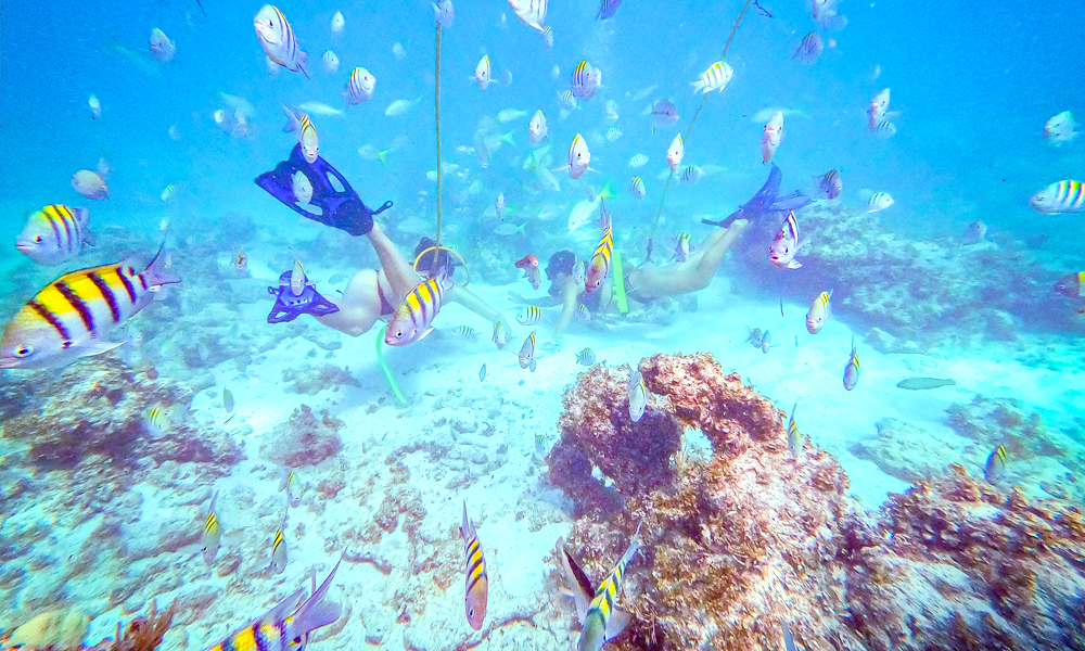 Go snorkeling in Punta Cana