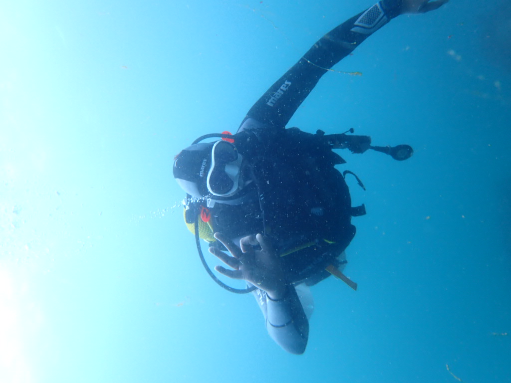 Open Water Diver Course in Arrabida Natural Park 