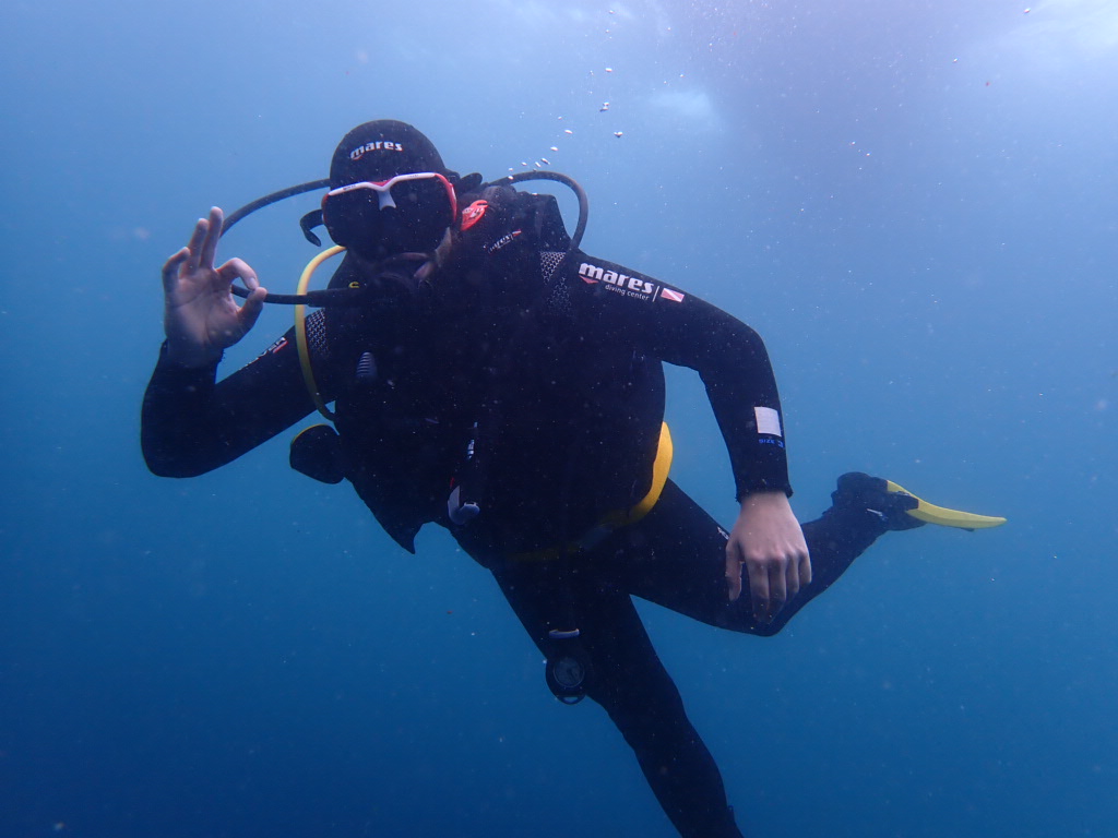 Advanced Adventurer Diving Course in Arrabida Natural Park