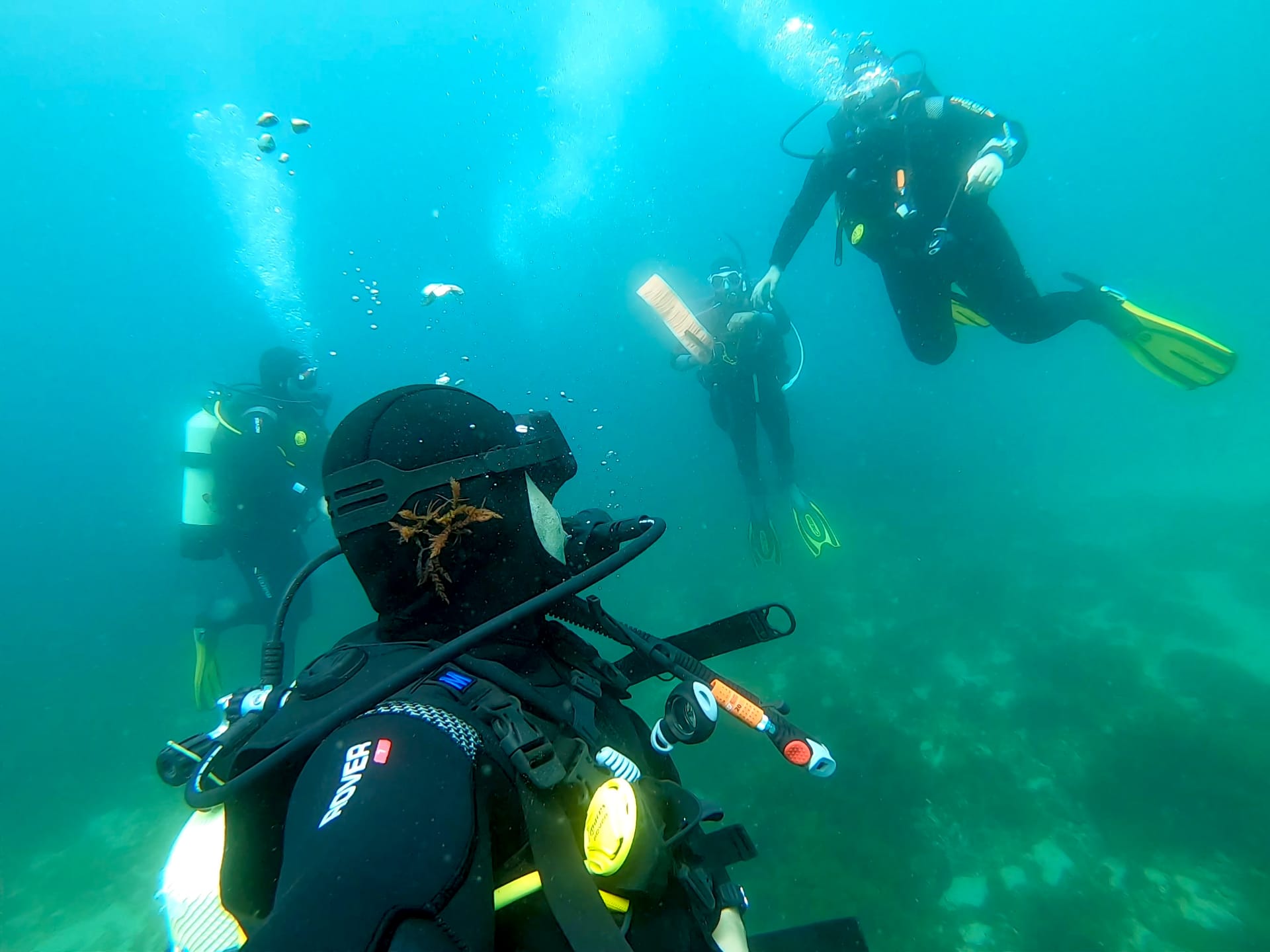 Open Water Diver Course in Arrabida Natural Park 
