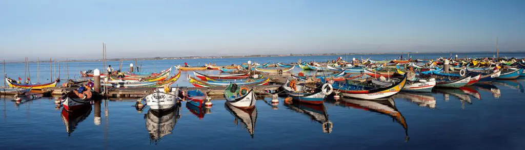 portugal-fishing boats