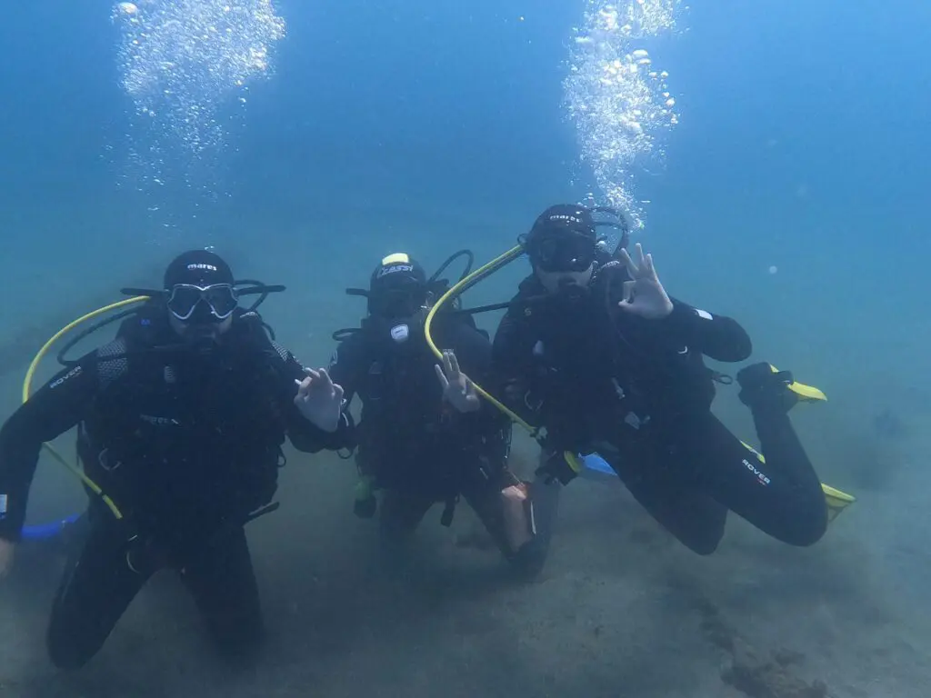 Double Dive in Terceira Island for Qualified Divers
