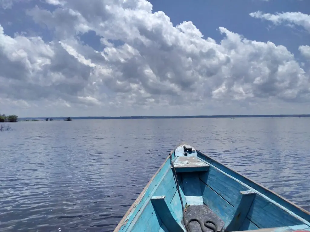 Manaus: Speedboat Tour in the Archipelago in Anavilhanas