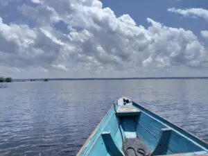 Manaus: Speedboat Tour in the Archipelago in Anavilhanas