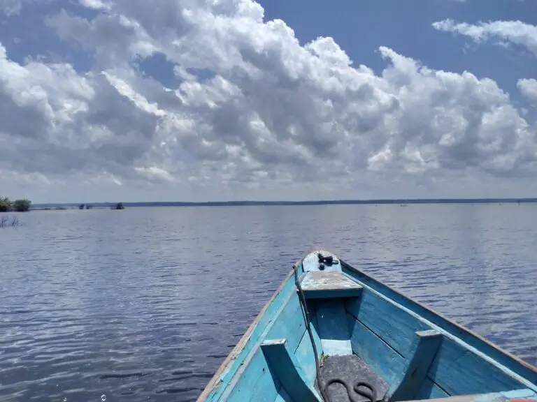 Manaus: Speedboat Tour in the Archipelago in Anavilhanas
