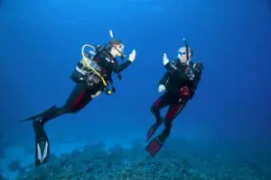 Try Scuba Diving in Sesimbra