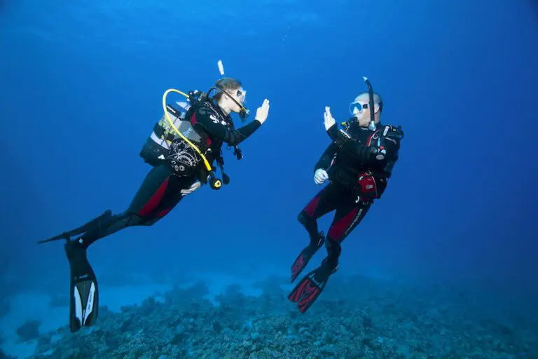 Try Scuba Diving in Sesimbra