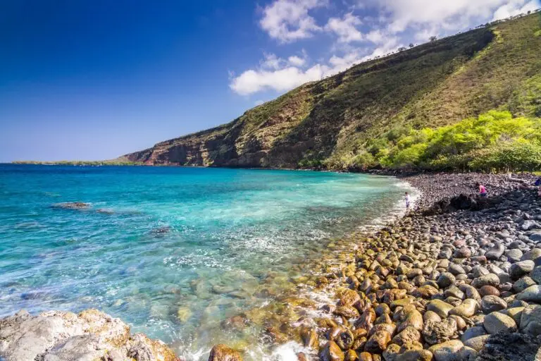 Snorkel at Kealakekua Bay