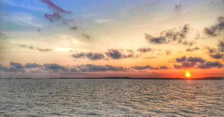 Excursão de gato em Sunset Creek em Hilton Head