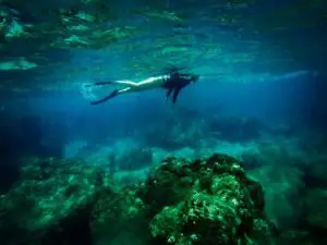 Sea Turtle Lagoon and Black Sand Beach Snorkel in Hilo