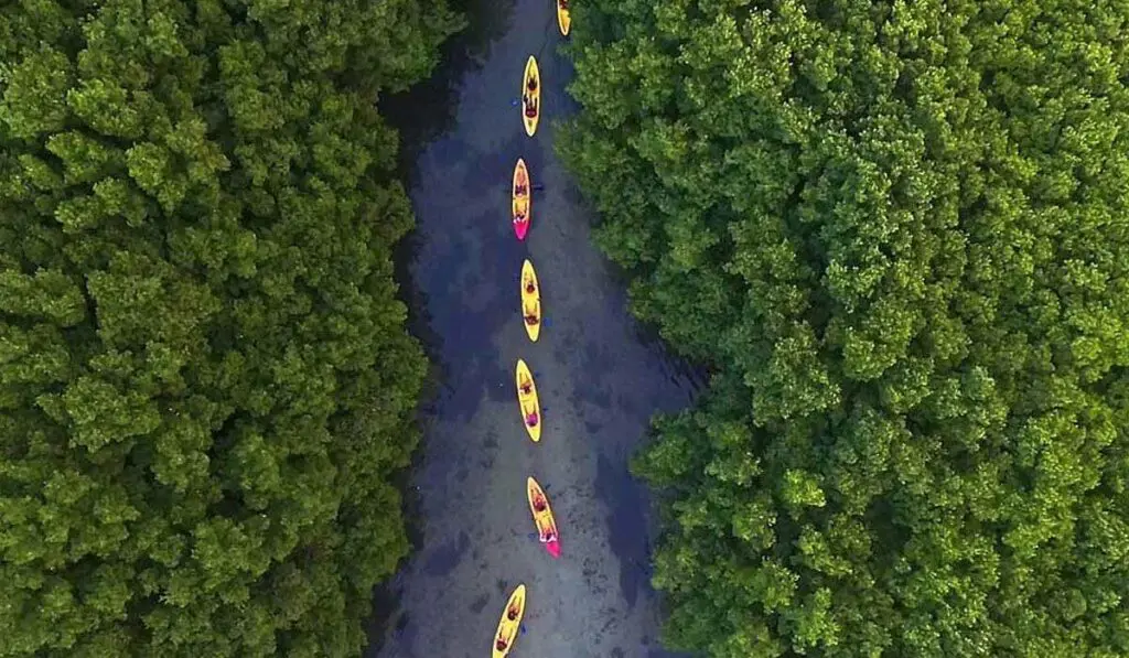 Night Kayak Bay Tour in Las Croabas