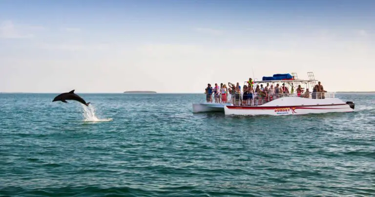 Sunset Dolphin and Snorkel Tour in Key West