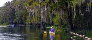 Adventures Kayak Tour in Orlando