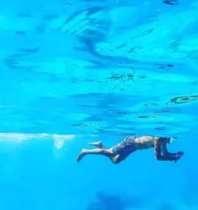 Delfin- und Schnorcheltour in Key West