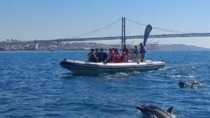 Lissabon Delfinbeobachtung