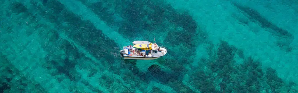 Private Boat Tour Sesimbra Luiz Saldanha Marine Park