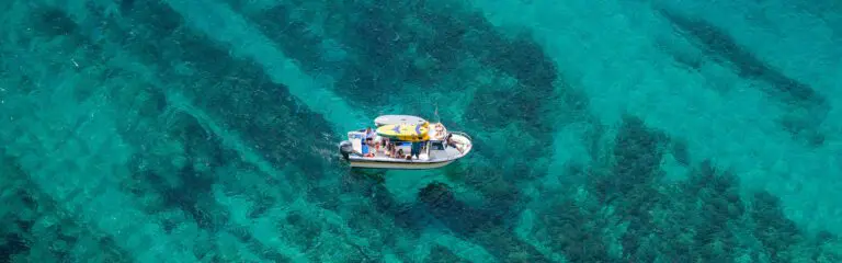 Private Boat Tour Sesimbra Luiz Saldanha Marine Park