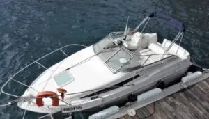 Private Wal- und Delfinbeobachtungstour auf Madeira